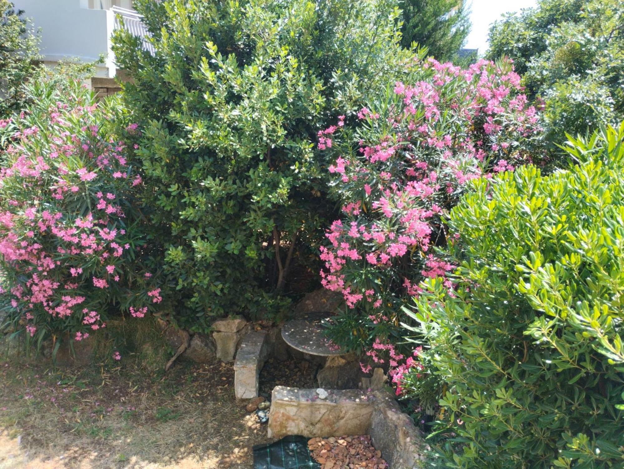 Miran Διαμέρισμα Ivanica Εξωτερικό φωτογραφία